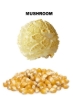 Mushroom popcorn - popped and unpopped kernels