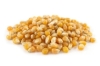 Bullseye mushroom popcorn kernels - unpopped